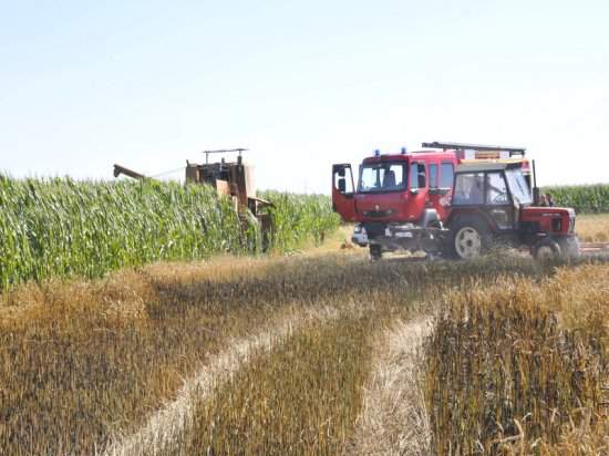 110 strażaków i rolnik z ciągnikiem walczyli z pożarem, który objął 25-ha pole