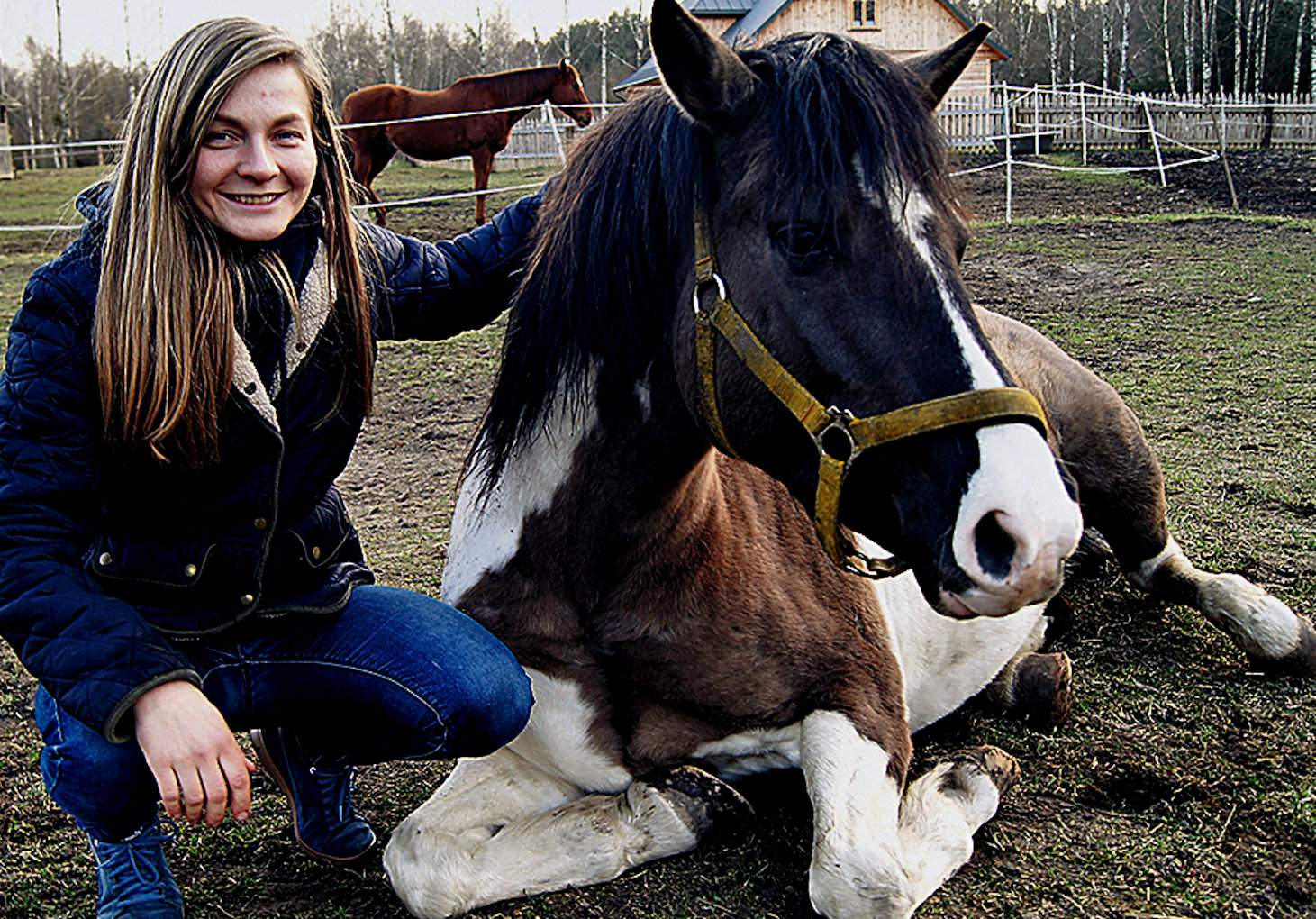 Praca z końmi nauczyła mnie cierpliwości oraz pokory –  mówi Anna Sokólska