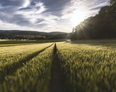Polska może stać się liderem rolnictwa zrównoważonego
