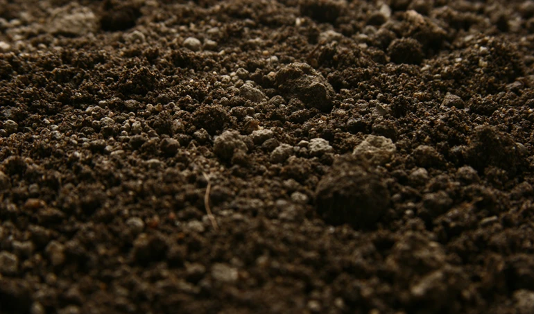 Jak prawidłowo pobierać próby gleby?