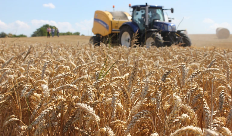Zbiory zbóż w Unii Europejskiej 