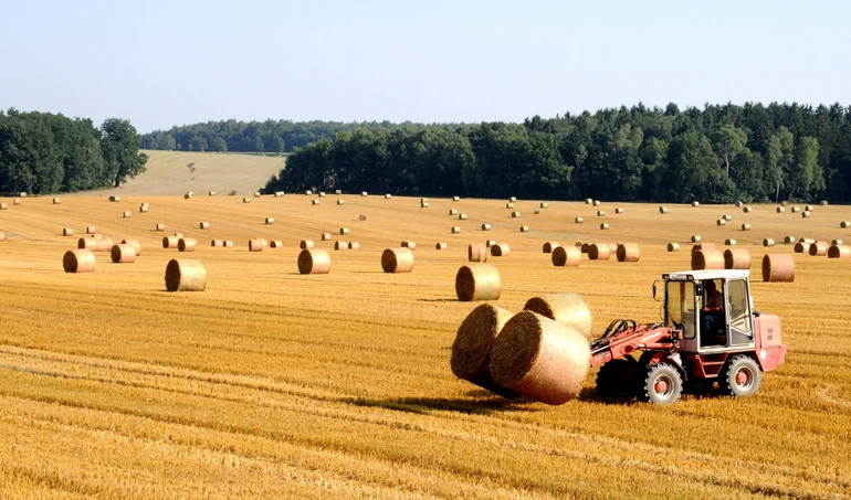 Polscy rolnicy o Wspólnej Polityce Rolnej