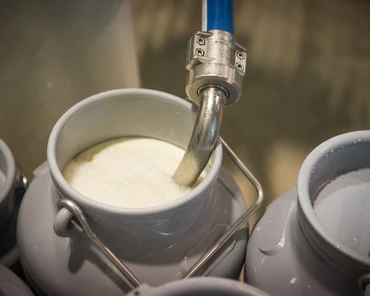 Fonterra – ceny masła w dół, ale mleka w proszku w górę