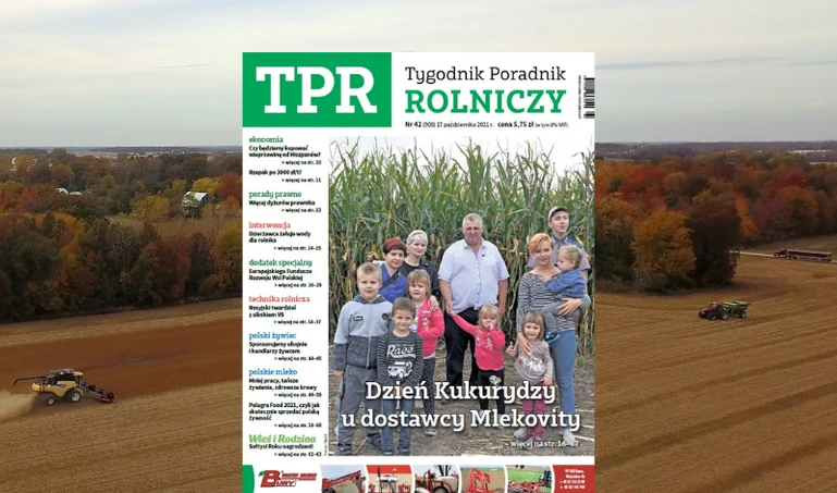 W nowym TPR: Czy wieprzowina w Polsce będzie towarem deficytowym?