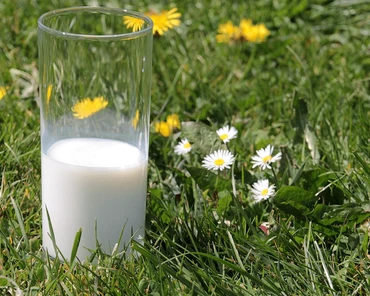 Ile jest Polsce gospodarstw produkujących mleko eko?