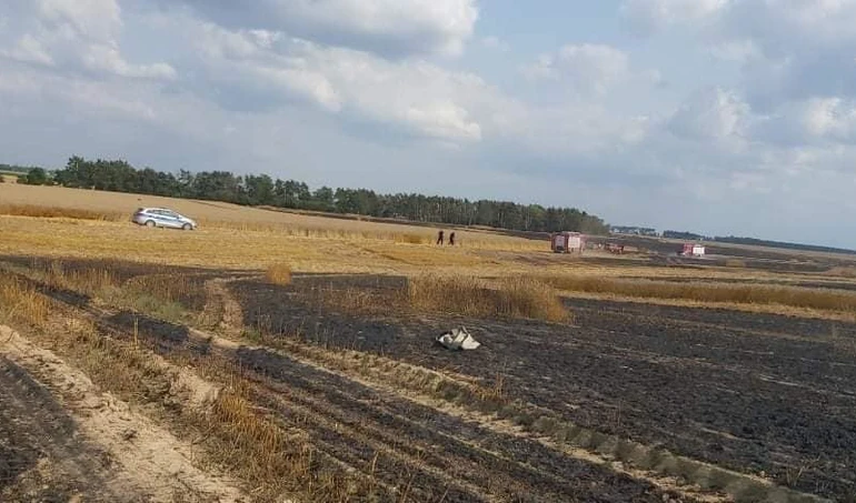 Rolnicy i strażacy walczyli z pożarem zboża pod Żninem. Z dymem poszło 50 ha