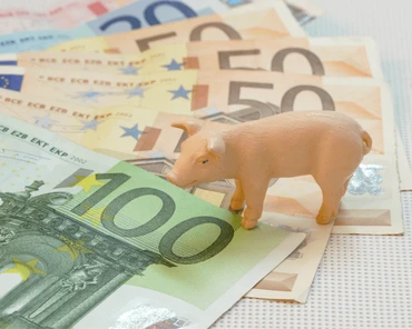 200 euro za świnie - tyle dostają drobni hodowcy za czasowe wycofanie się z produkcji