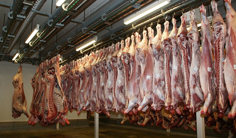 Mięso z rzeźni ubijającej chore bydło trafiło do 9 państw z UE. Czy uderzy to w całą branżę?
