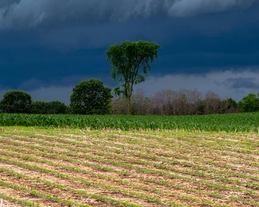 Prognoza pogody dla rolników od 16 do 22 czerwca