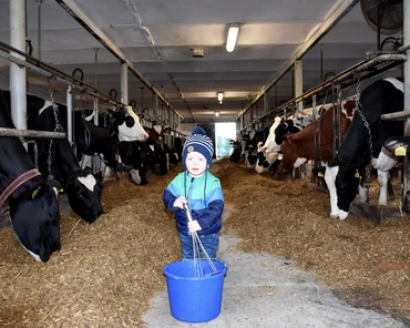Zdjęcie tygodnia: 1,5 roczny Franek uwielbia krowy