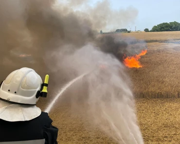 16 hektarów zboża spłonęło tuż przed zbiorem. Duże straty rolników