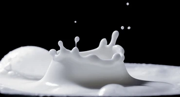 TOP 20 największych mleczarń na świecie