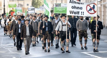 Niemcy: tysiące rolników protestowało przeciwko wilkom