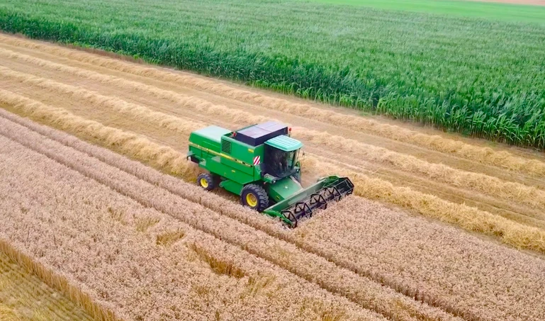 Żniwa 2021 na Podlasiu – Jaki plon dała pszenica? [FILM]