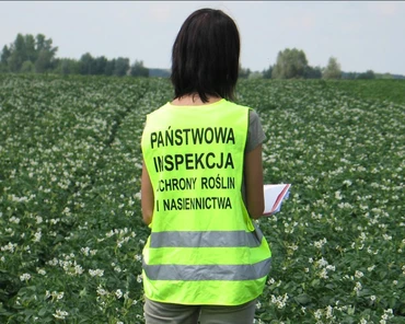 Jak rozumieć zasady rejestracji upraw i obrotu ziemniakami w Polsce?