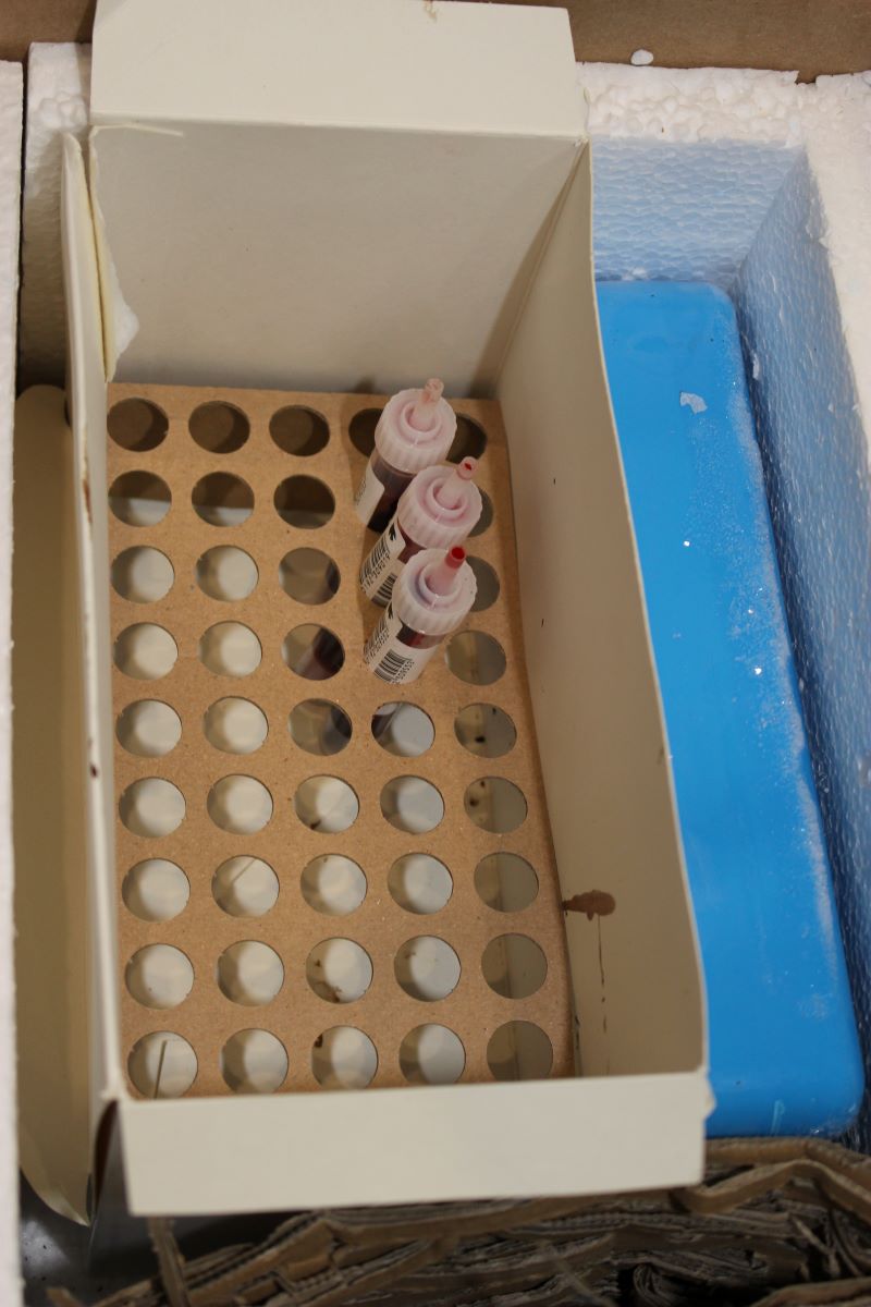 10. Próbki do transportu umieszczane są w stojaku w styropianowym pudełku z wkładem chłodzącym utrzymującym niską temperaturę