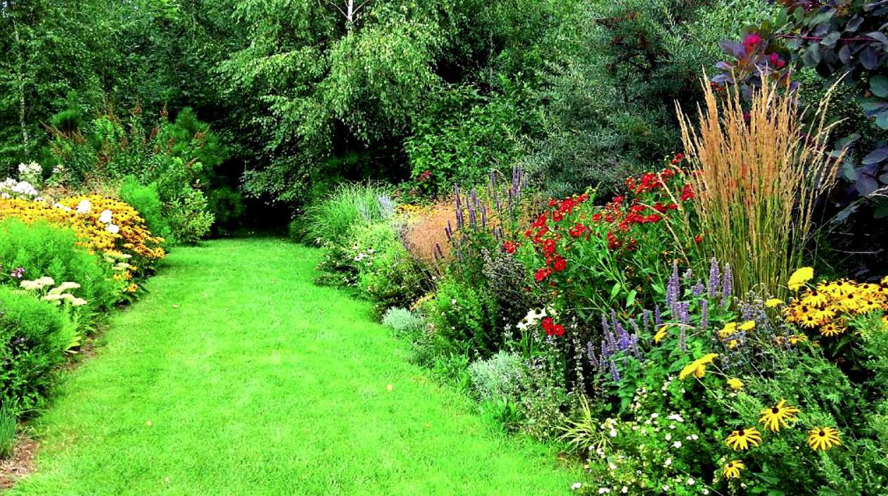 Adam Kunowski od lat dba, aby każda roślina w jego ogrodzie była odpowiednio nawieziona i podlana. Ozdobne rabaty tworzą w nim głównie krzewy i rośliny wieloletnie, ale także rośliny jednoroczne