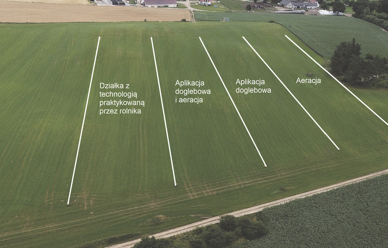 Na użytku zielonym wyznaczone zostały cztery strefy badawcze – każda o powierzchni 1 hektara