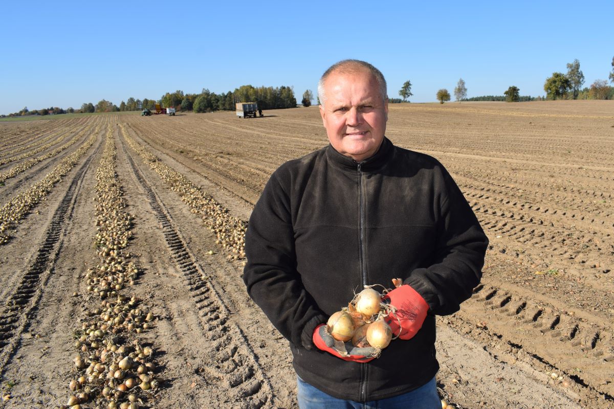 Jerzy Wróbel, ekspert w uprawie cebuli, ale zwykle na dobrych glebach, postanowił eksperymentalnie posiać w Szkotowie