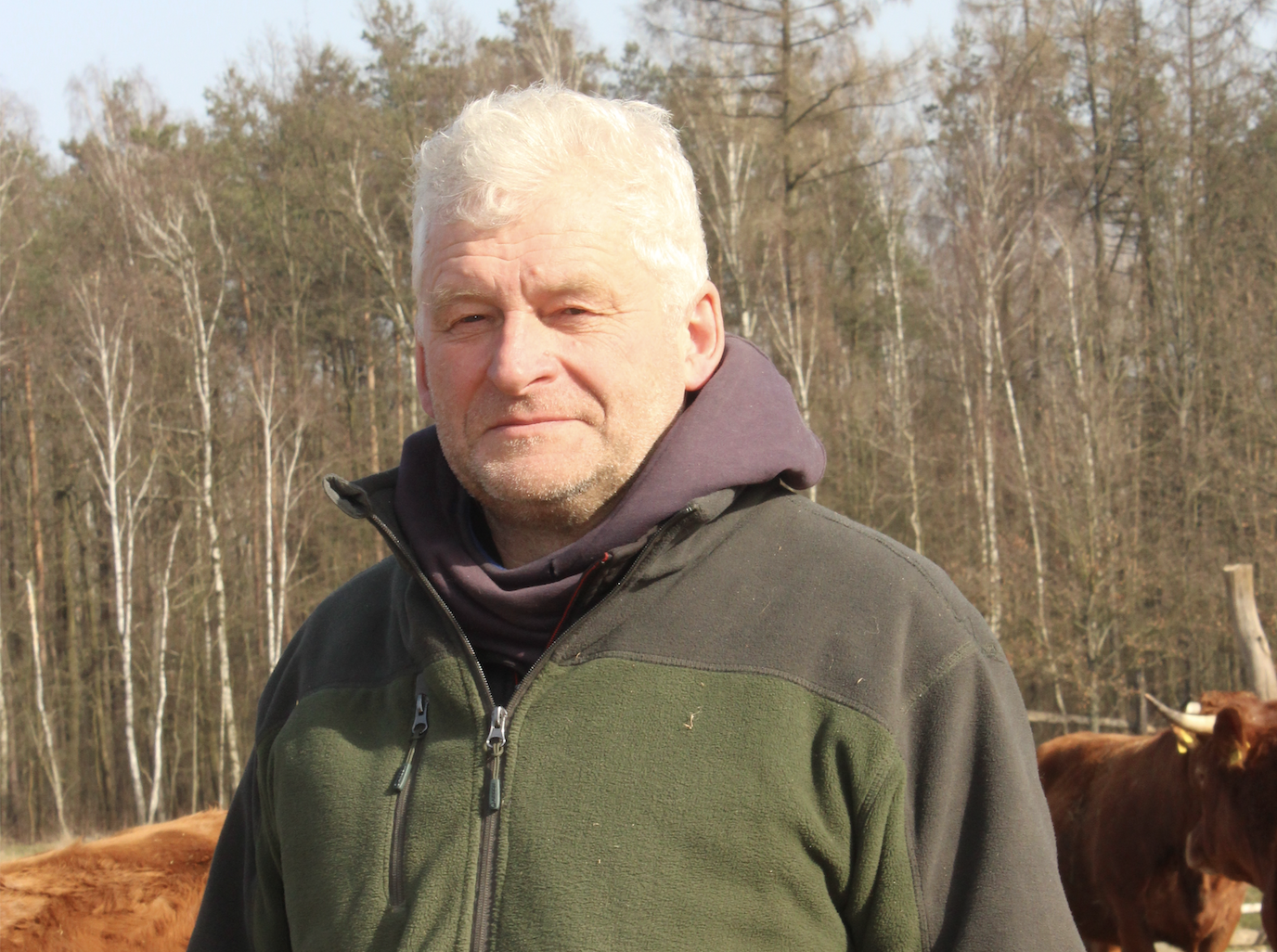Dariusz Raczko wspólnie z synem Piotrem, prowadzi w miejscowościach Rąbież i Czarnogłów (pow. węgrowski) 2 gospodarstwa ekologiczne o łącznej powierzchni około 150 ha. Stado bydła mięsnego liczy 200 sztuk. 120 sztuk to krowy mamki, 40 sztuk jałówki, a pozostałą część stanowią buhaje rozpłodowe oraz cielęta. Urodzone w gospodarstwie buhaje po ukończeniu 6 miesięcy życia sprzedawane są do dalszej hodowli. Jałówki w połowie pozostawiane są na remont i powiększenie stada, a pozostałe sztuki sprzedawane są do dalszej hodowli. Hodowcy na około 40 ha wysiewają owies, a pozostałe grunty to użytki zielone. Wśród nich są trawy, koniczyna i lucerna w siewie czystym oraz w mieszankach z trawami. Od dwóch lat Dariusz Raczko należy do Polskiego Związku Hodowców i Producentów Bydła Mięsnego.