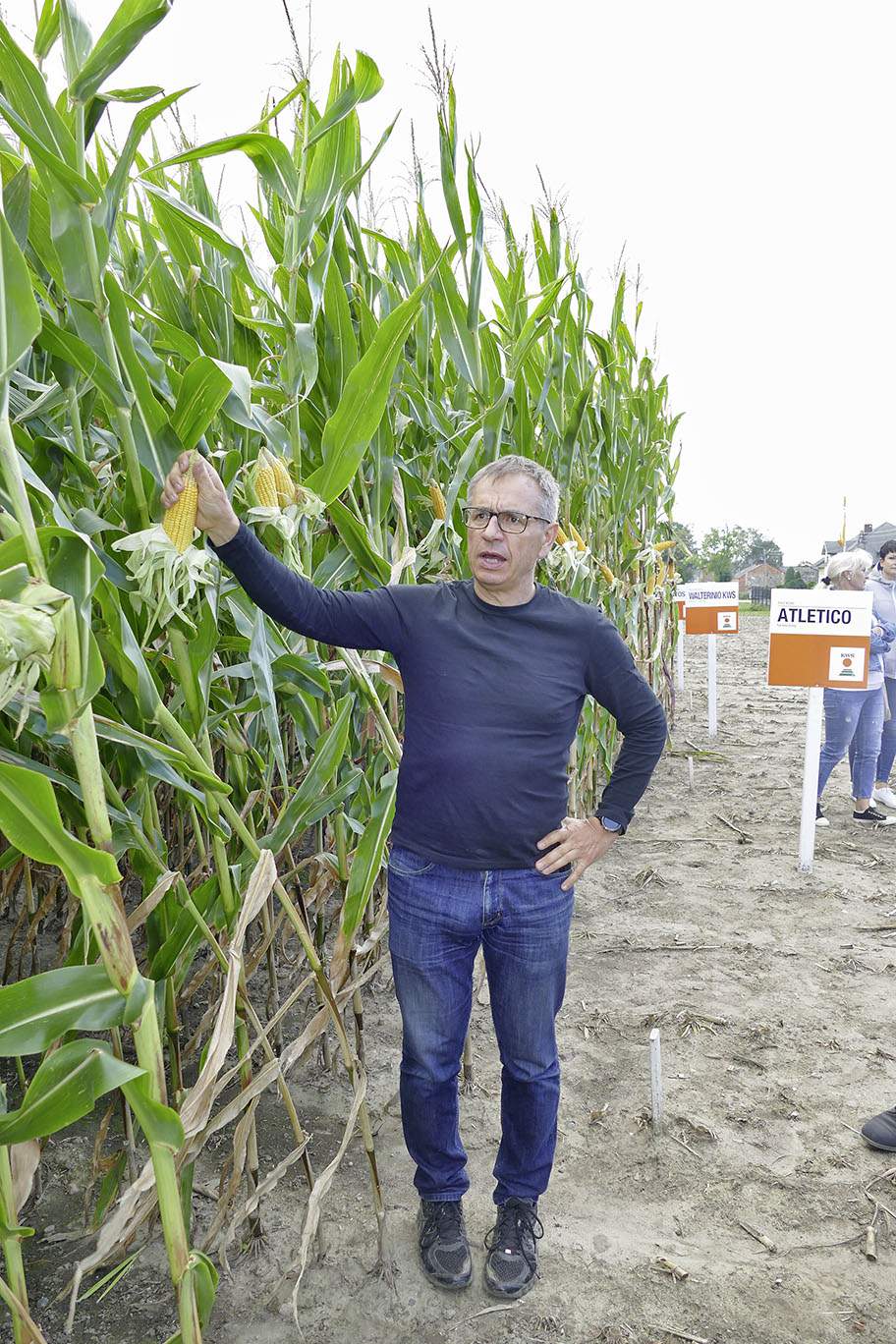 W tym roku wegetacja kukurydzy opóźniona jest o trzy tygodnie – stwierdził dr Adam Majewski