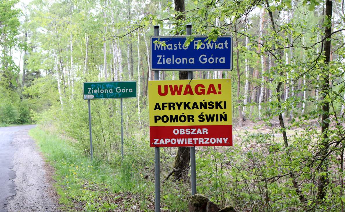 Powiat zielonogórski wciąż nie może uwolnić się ze strefy niebieskiej. W województwie lubuskim jest najwięcej
