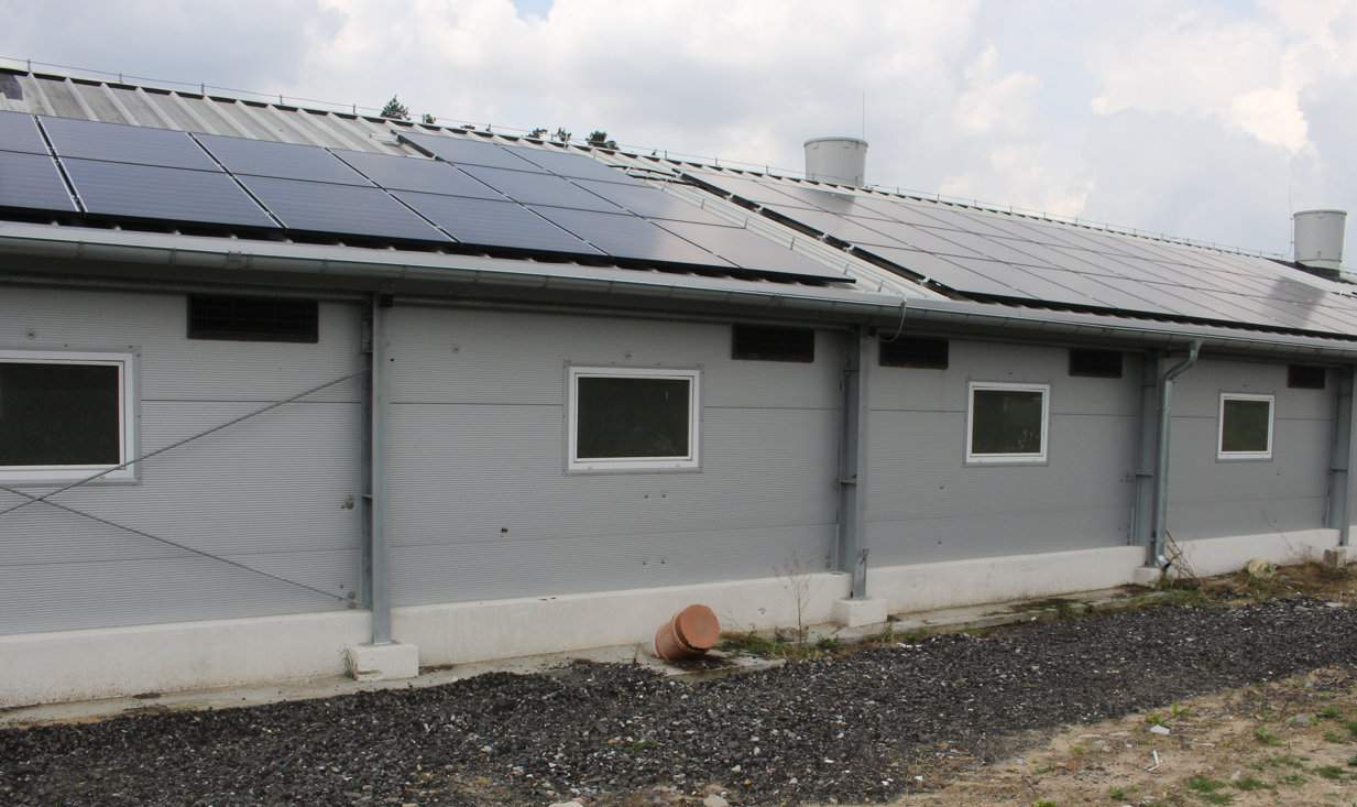 Od miesiąca gospodarz korzysta z energii elektrycznej dostarczanej dzięki panelom fotowoltaicznym. Instalacja o mocy 40 kW umieszczona jest na dachu tuczarni
