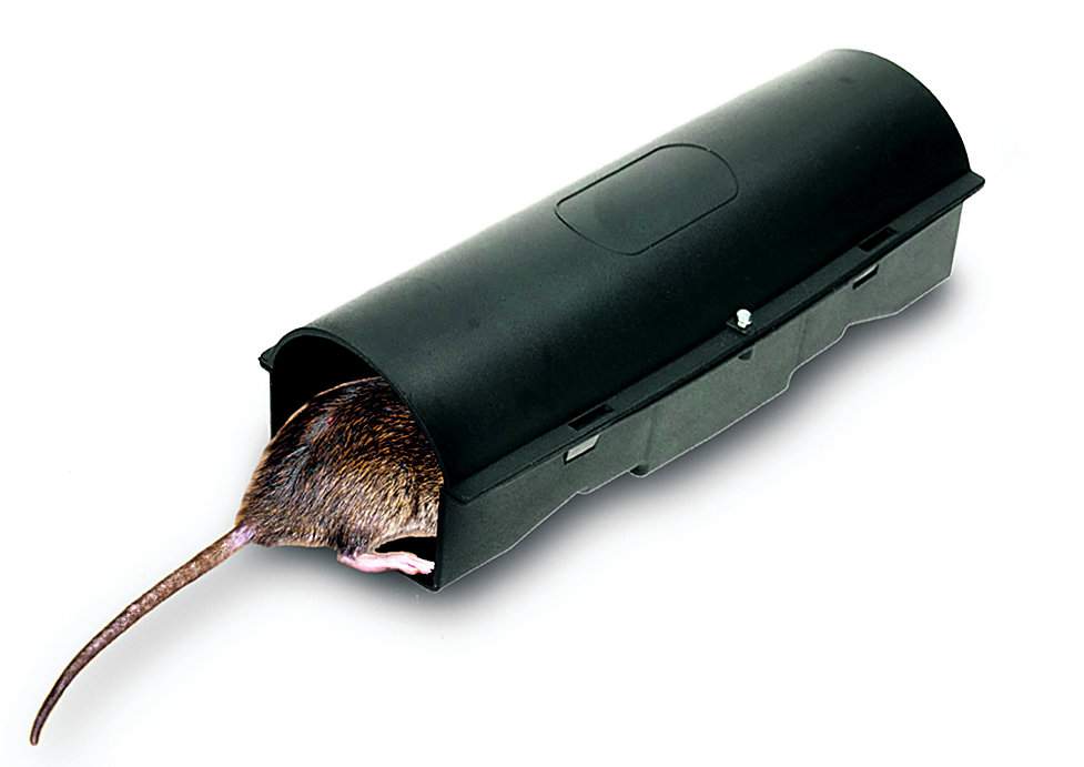 Dla bezpieczeństwa ludzi i zwierząt trutki na szczury i myszy najlepiej wykładać w specjalnych stacjach deratyzacyjnych