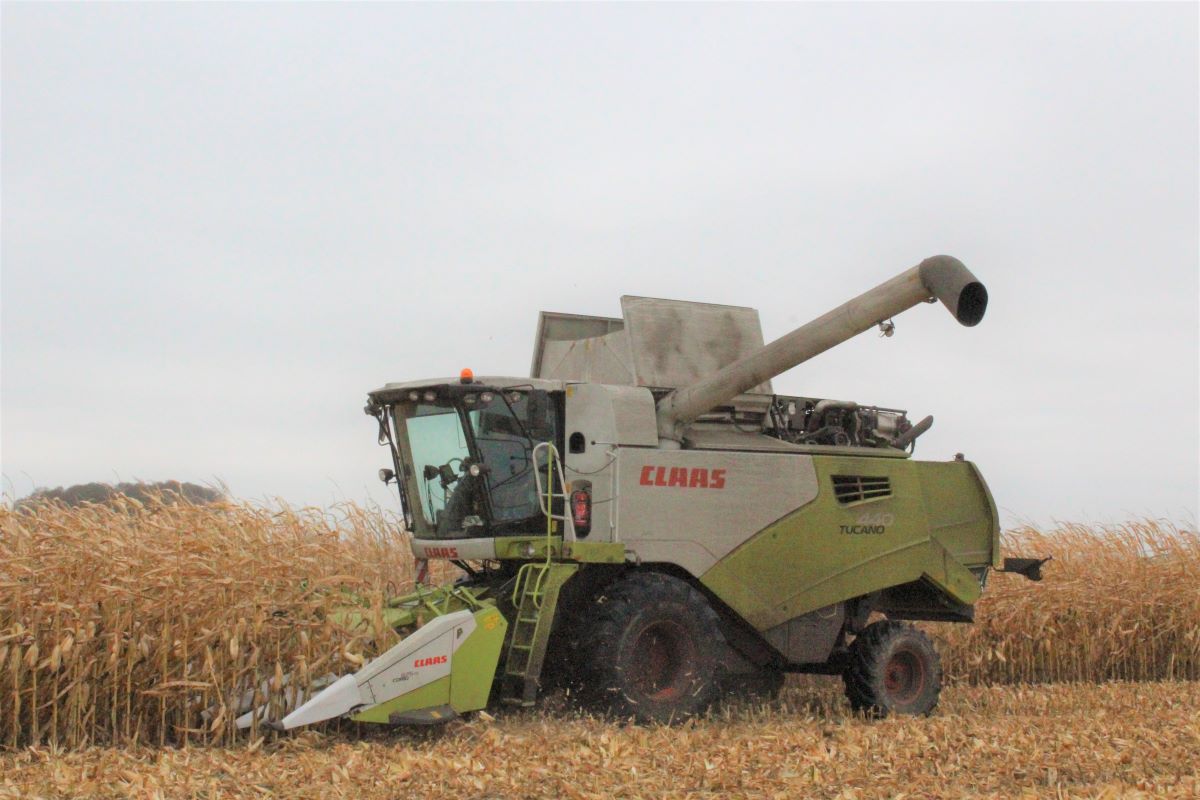     Marek Zglec kosi usługowo kukurydzę na ziarno i podkreśla, że w tym roku w jego okolicy kukurydza lepiej poradziła sobie na glebach lżejszych