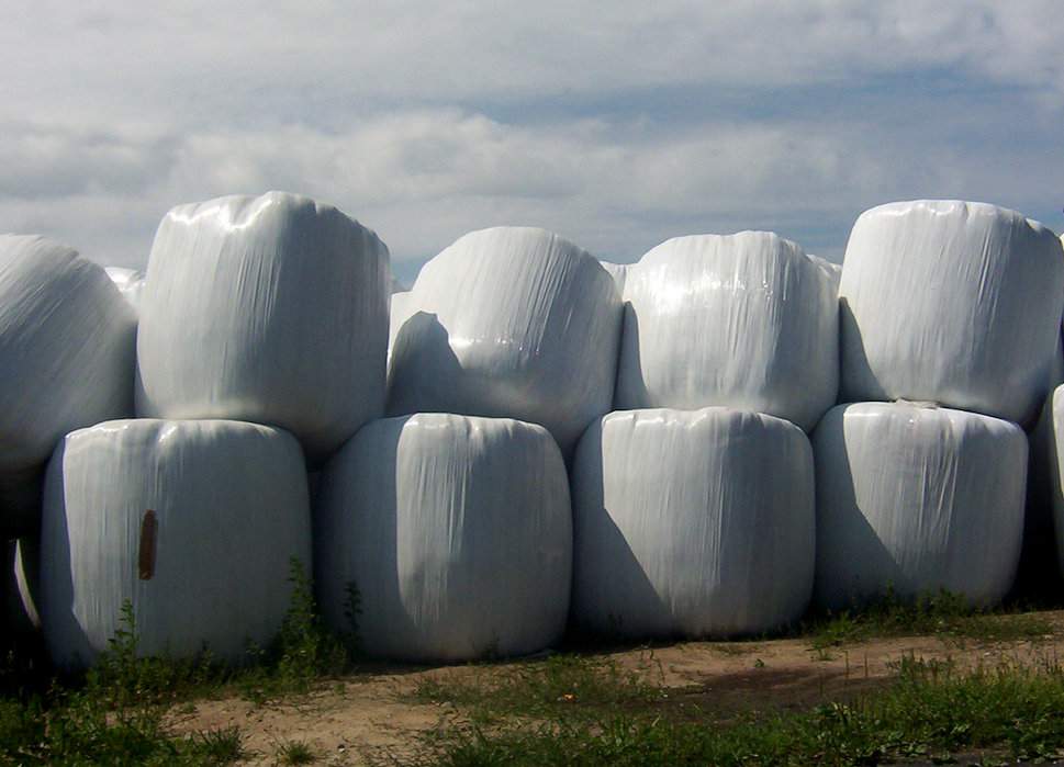 Technologia sporządzania sianokiszonek w cylindrycznych balotach jest popularna. Najważniejszy dla jakości paszy nie jest kolor folii, ale szybkość i dokładność owinięcia bel i natychmiastowe ich przewiezienie w miejsce składowania