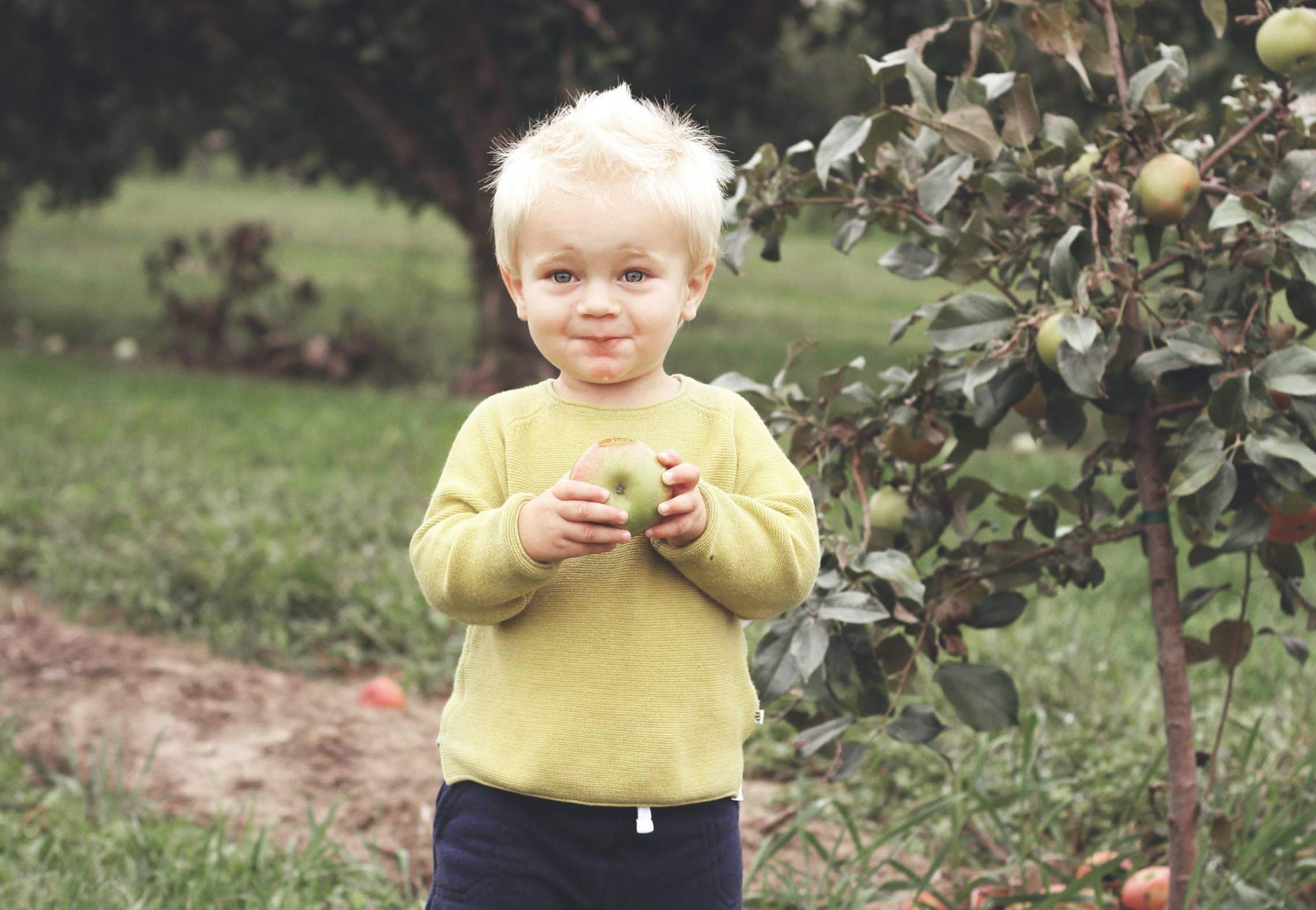 W konkursie Bardzo Młody Rolnik wygrają autorzy zdjęć, które najlepiej pokażą radość dziecka z życia w gospodarstwie