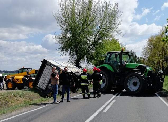 Kruszwica: ciężarówka przewożąca bydło wylądowała w rowie
