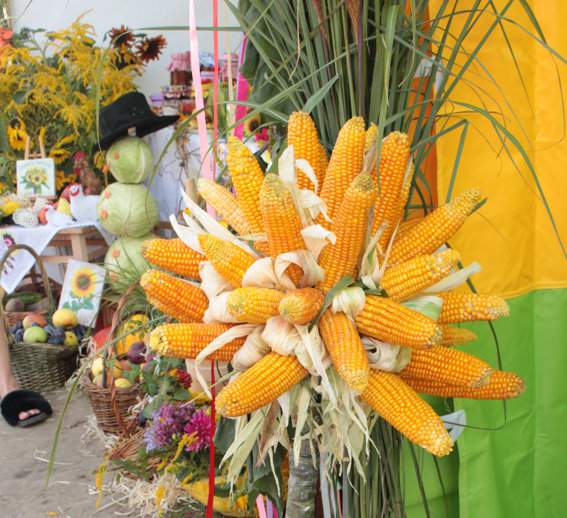 Drzewko z kukurydzy to jedna z dekoracji stoiska KGW Marianki, które wygrało nim pierwsze miejsce