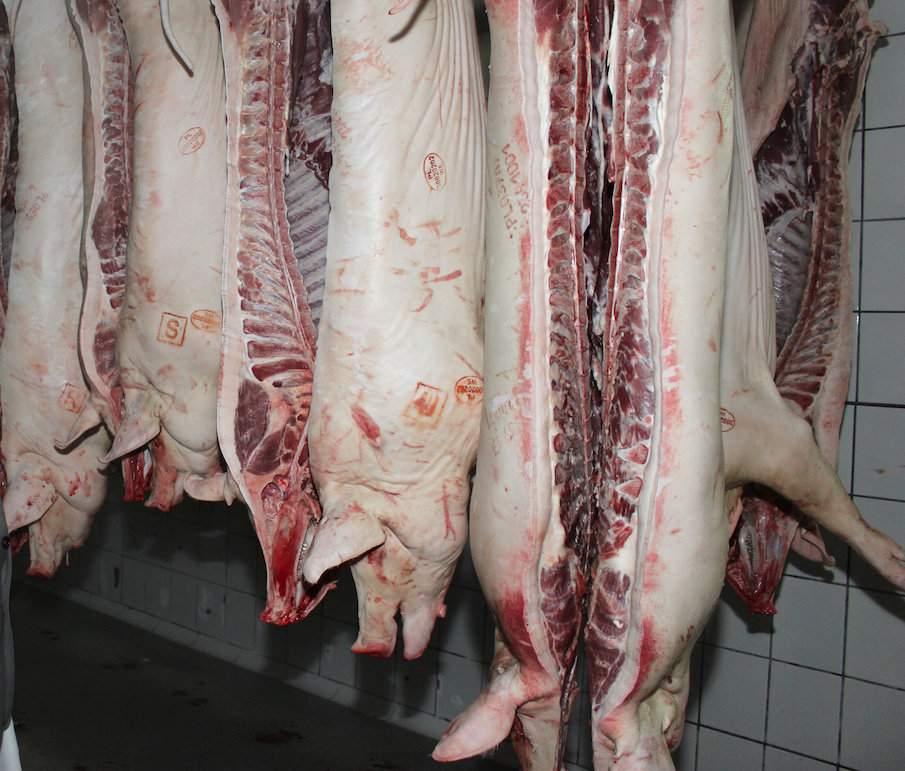Mięso skażone ASF również stanowi olbrzymie zagrożenie, dlatego wiele krajów stosuje zakaz importu z państw dotkniętych chorobą