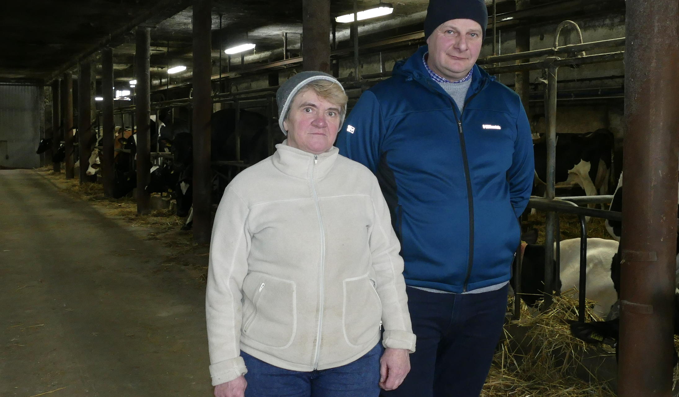 Wanda i Sławomir Jaczewscy prowadzą gospodarstwo w miejscowości Jarnice, w gminie Liw (powiat węgrowski). Jego powierzchnia liczy 70 ha, z czego 40 jest dzierżawione. 20 ha zajmują użytki zielone, pod kukurydzę zaplanowano w tym roku 25 ha, a pozostałe areał obsiewany jest zbożami. Hodowcy są dostawcami GK Polmlek, do której sprzedają około 40 tysięcy litrów mleka miesięcznie.