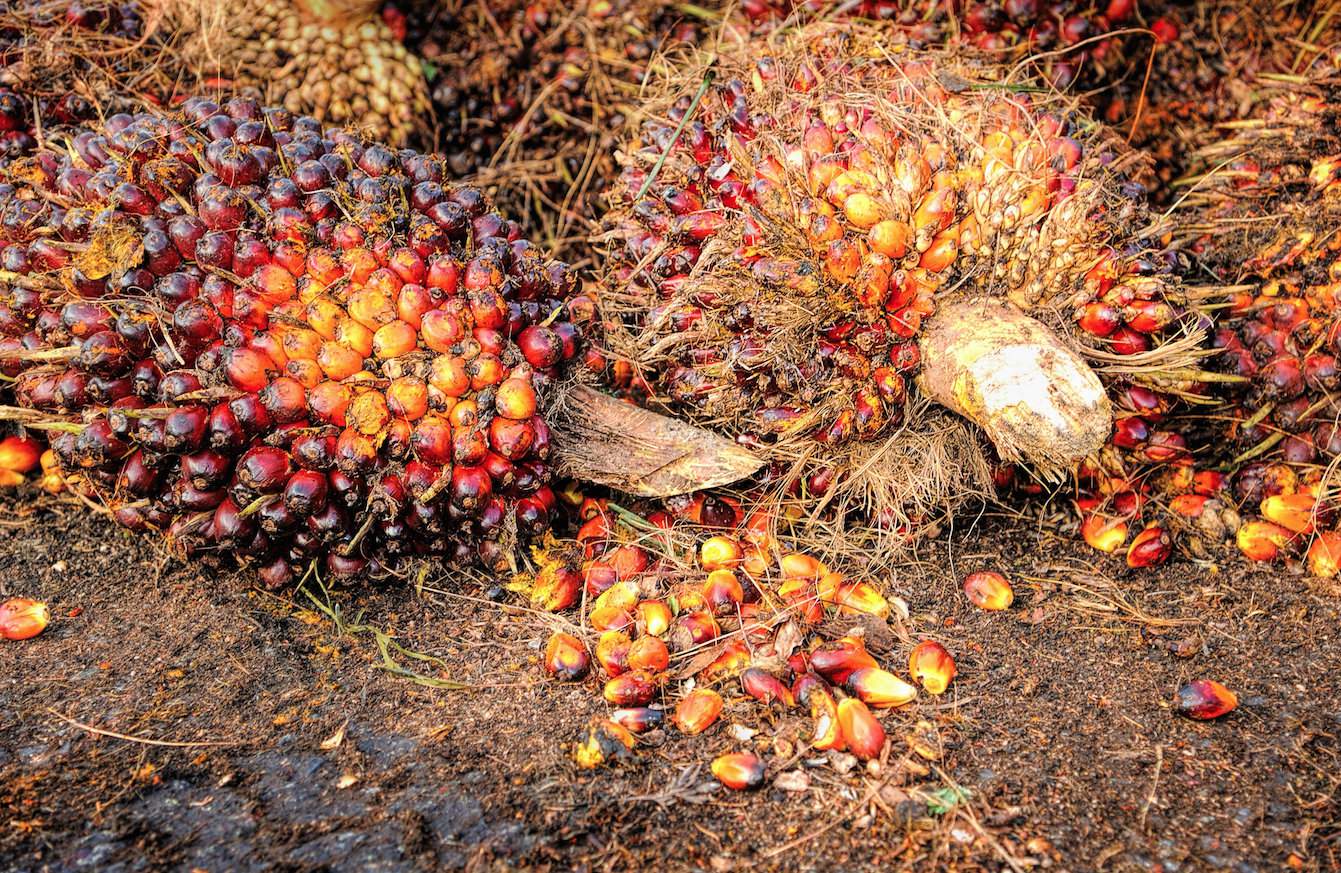 Olej palmowy może być korzystny dla zdrowia. Ale nie mamy pewności, jaką jego postać zastosowano w produkcie. Wtedy lepiej zrezygnować z kupna artykułu, który ma olej w składzie 