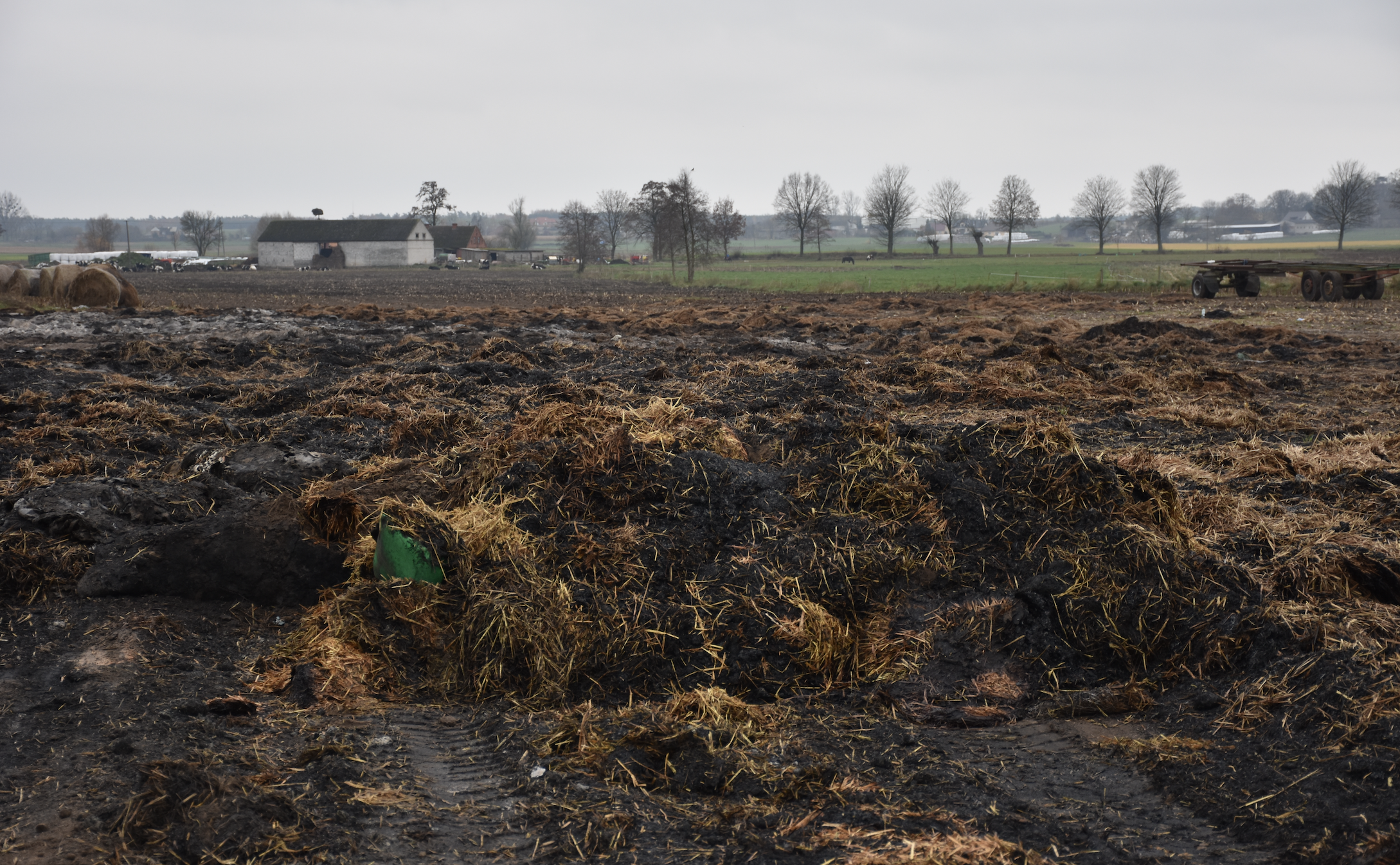 Ogromny pożar, który miał miejsce pod koniec października strawił kilka tysięcy bel siana i słomy, którą w całości hodowca zakupuje