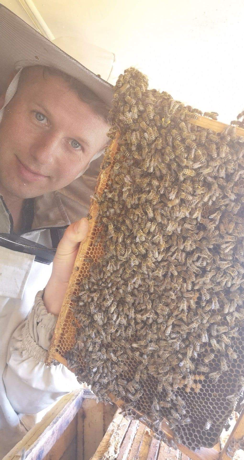 Pszczoły w rodzinie Piotra przetrwały cara, wojnę i PRL. Teraz stracił ponad milion pszczół