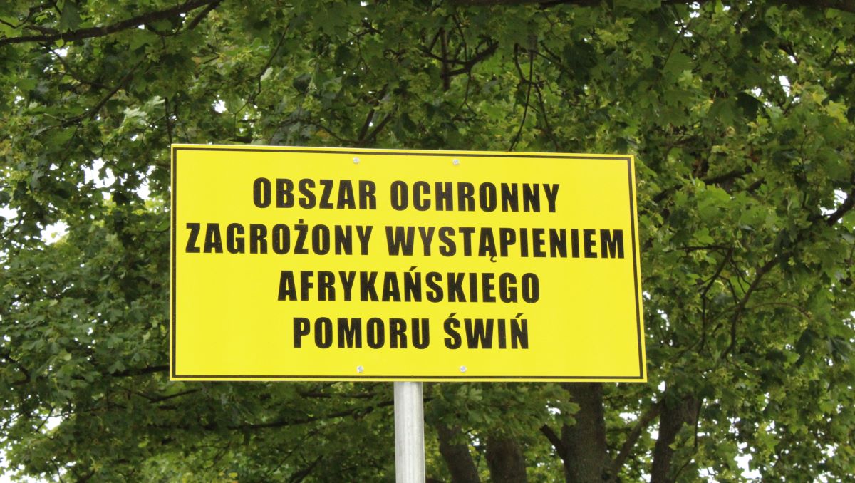 Producenci trzody chlewnej z Wielkopolski postulują do ministra rolnictwa o szybsze uwalnianie gmin ze stref ASF, gdyż ognisk nie ma w nich od wielu miesięcy