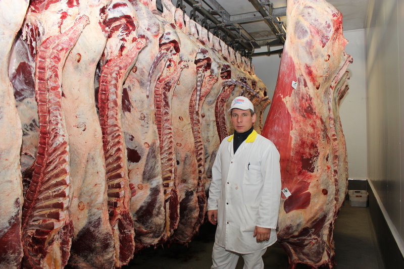– W zakładzie mamy również możliwość uboju 12–15 sztuk bydła na godzinę – mówi technolog Marian Smyczek