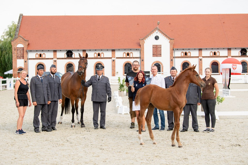 Wechta Equestrian Foal Show 2022